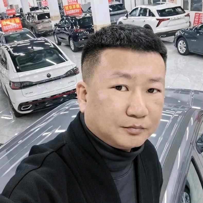 李里淘新车（小号）招销售