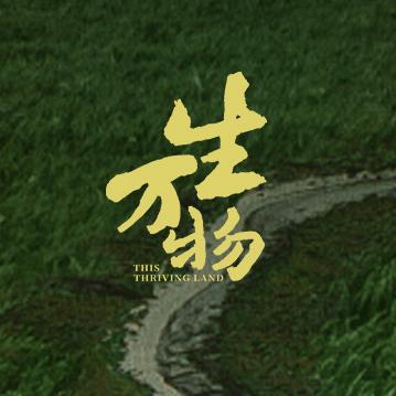 电视剧生万物