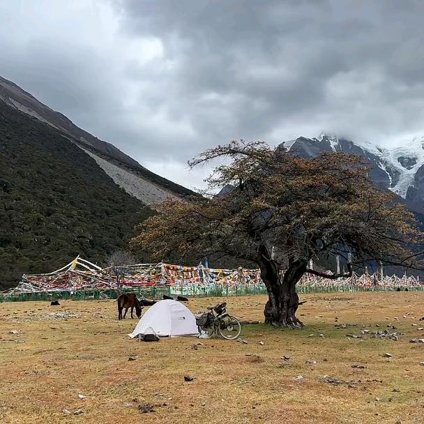 轻舟己过万重山