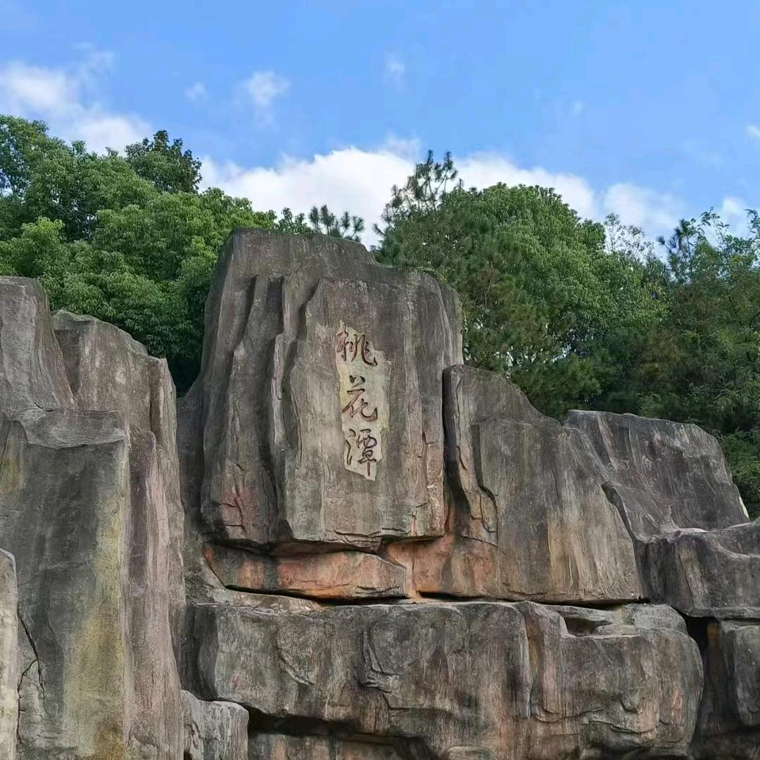 我非🍋为何心酸