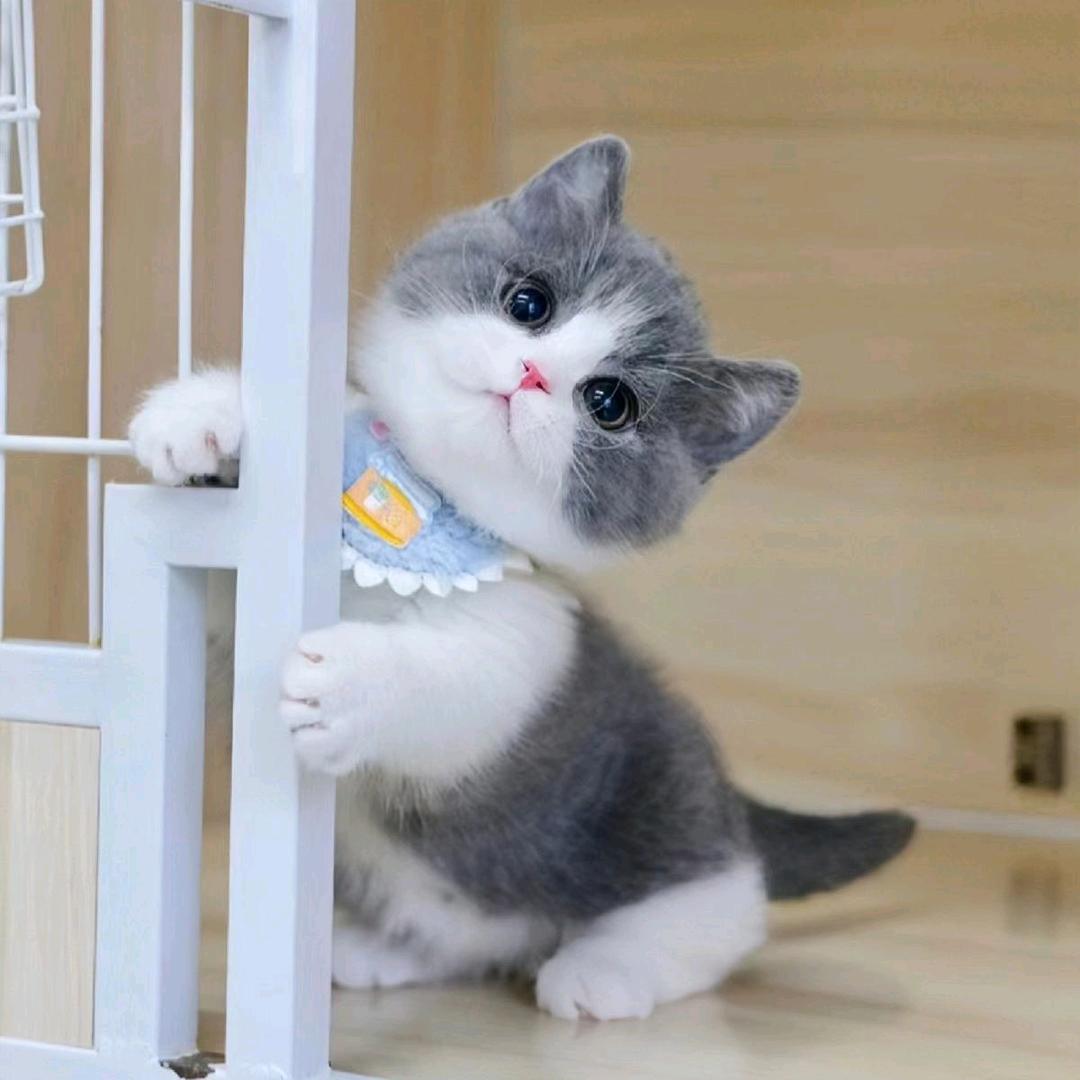恩泽麻麻