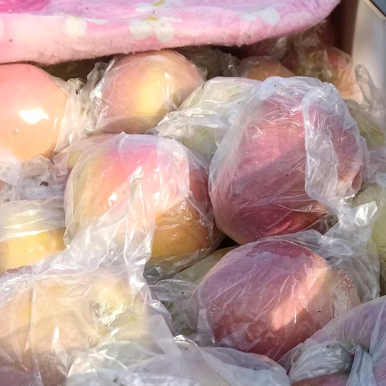 范龙龙水果快递全国各地包邮