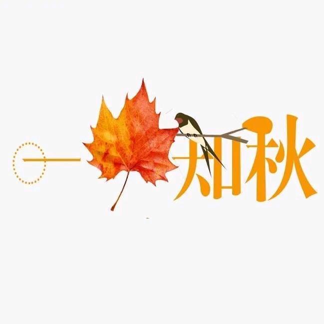 红枫叶🍁