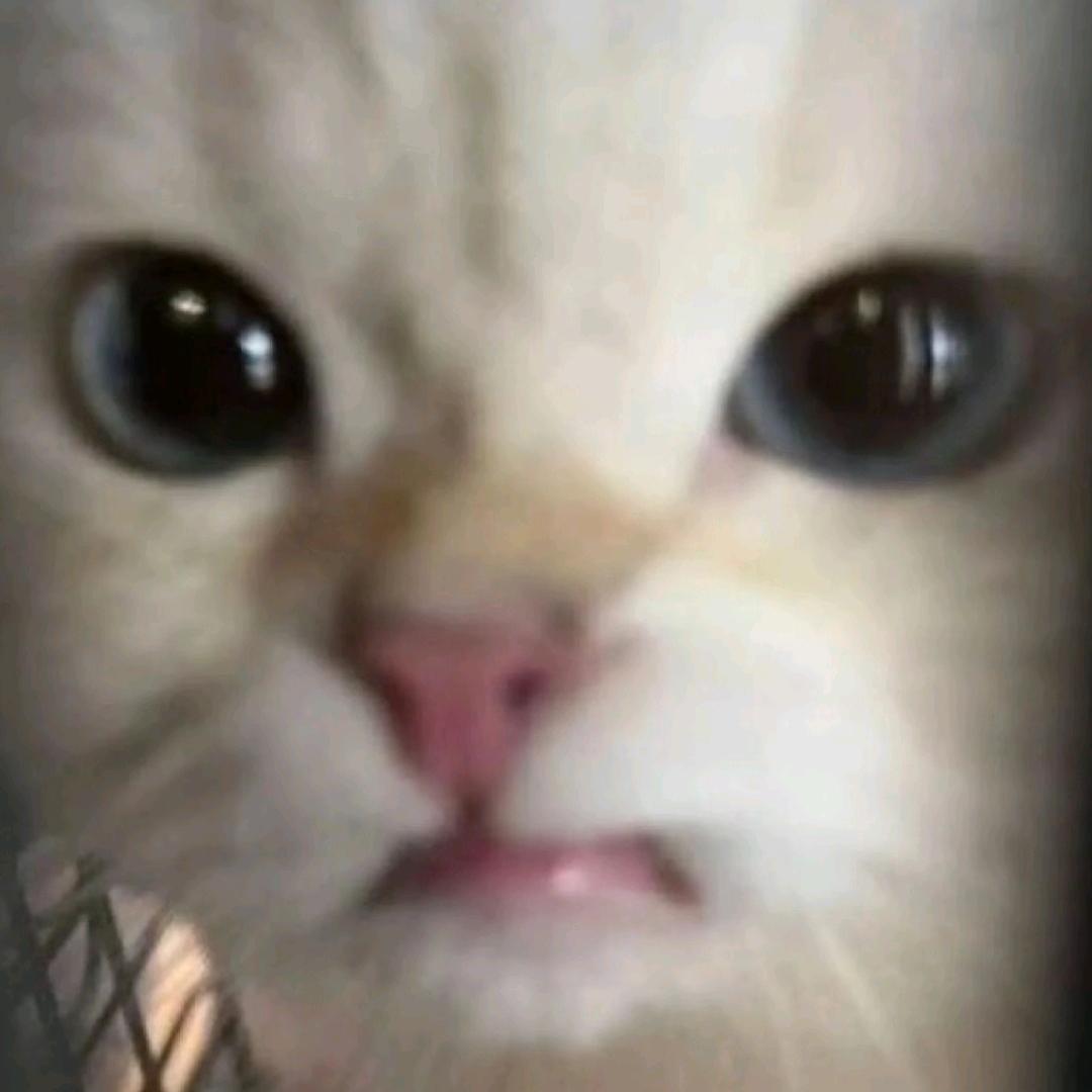 我也不太懂