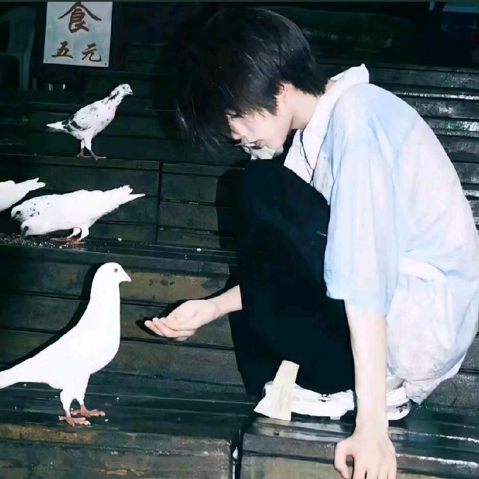德芙