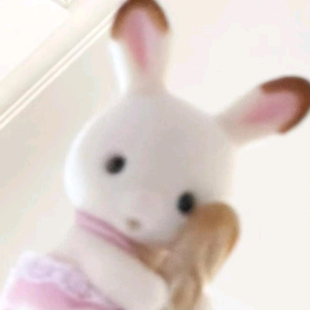 pinguuuuuu爱睡觉🐧