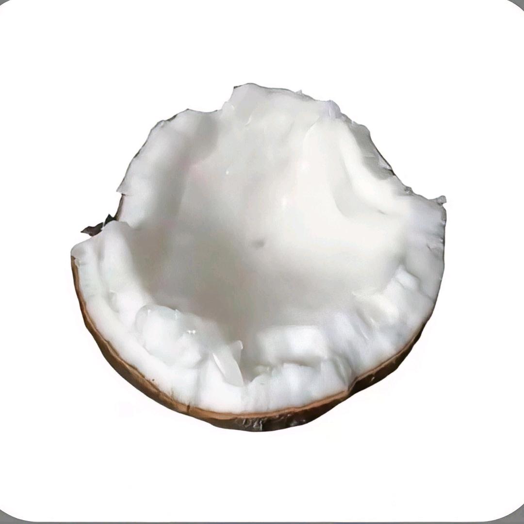 🌈爱喝椰子水（圆梦版）