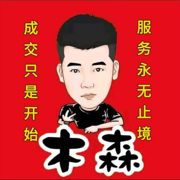 木森(乘风破浪)