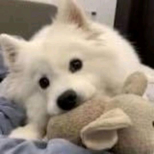 無畏