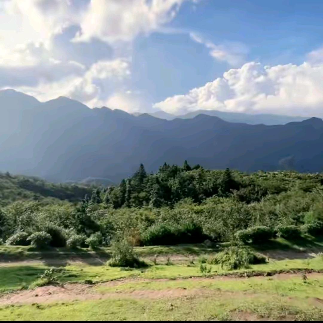 至秦