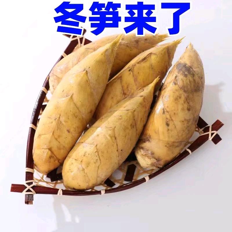 传来生活创意屋