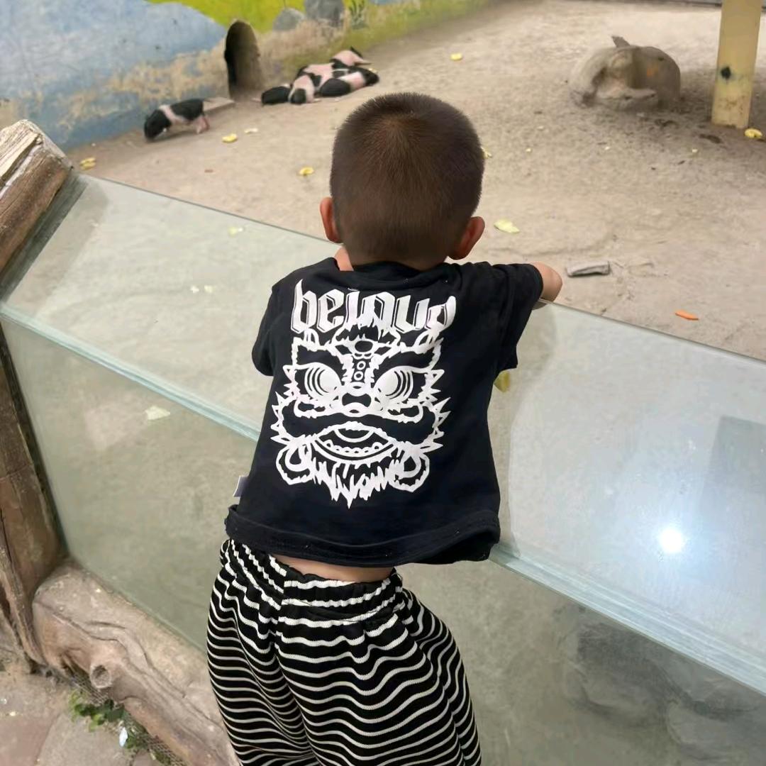 大蒜🧄种植🧄