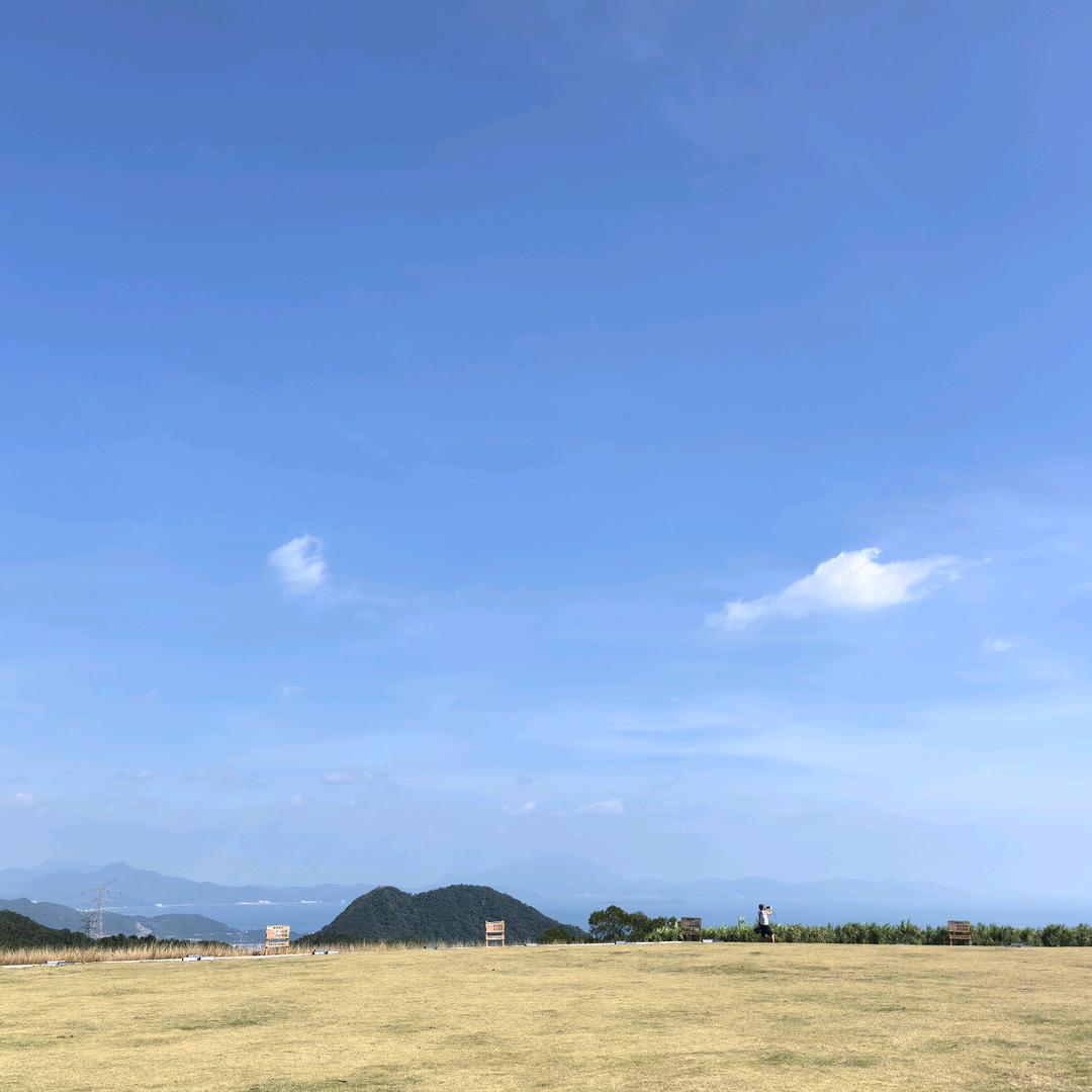 无风不起浪