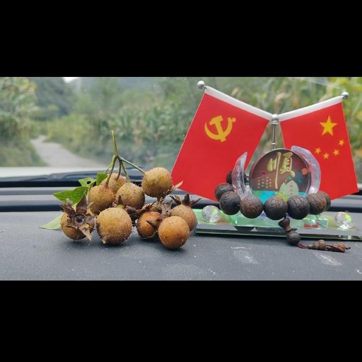 盘州刺梨王子🤴
