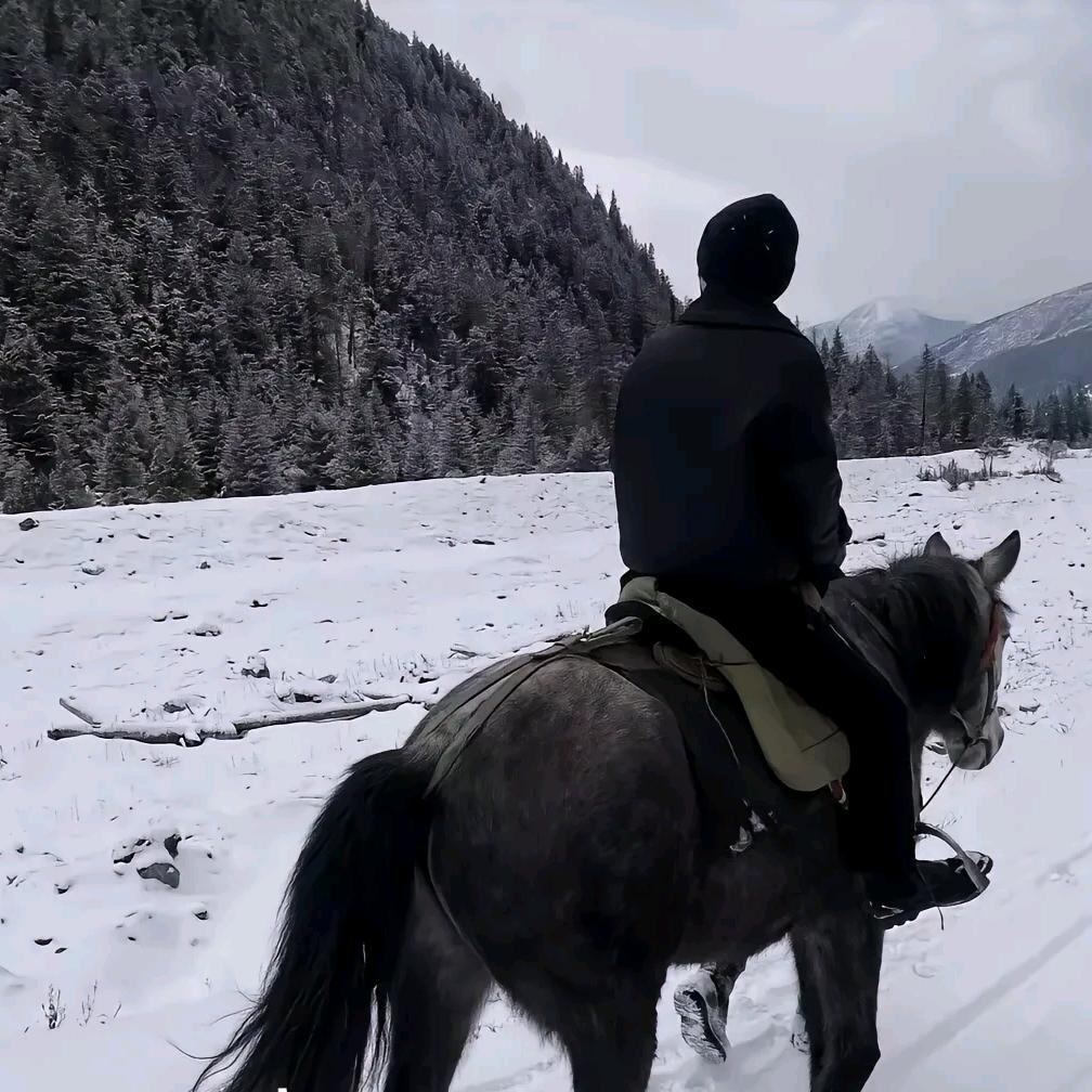 髙小龍