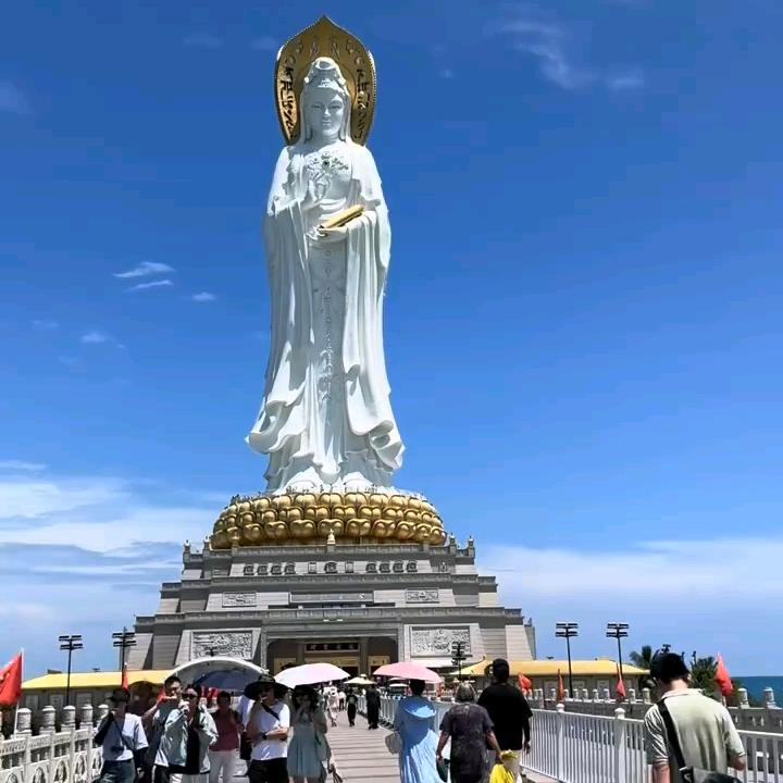 张宇分享工作日常