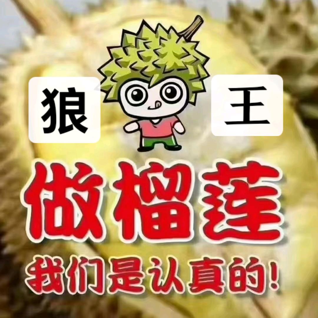 雄县狼王《榴莲批发带采》