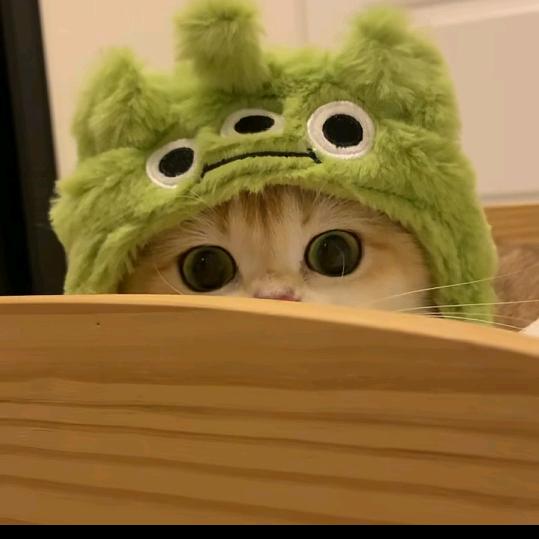 小小云