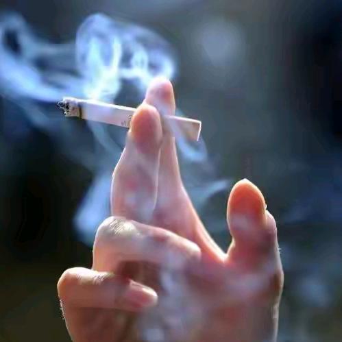 一盏清茶