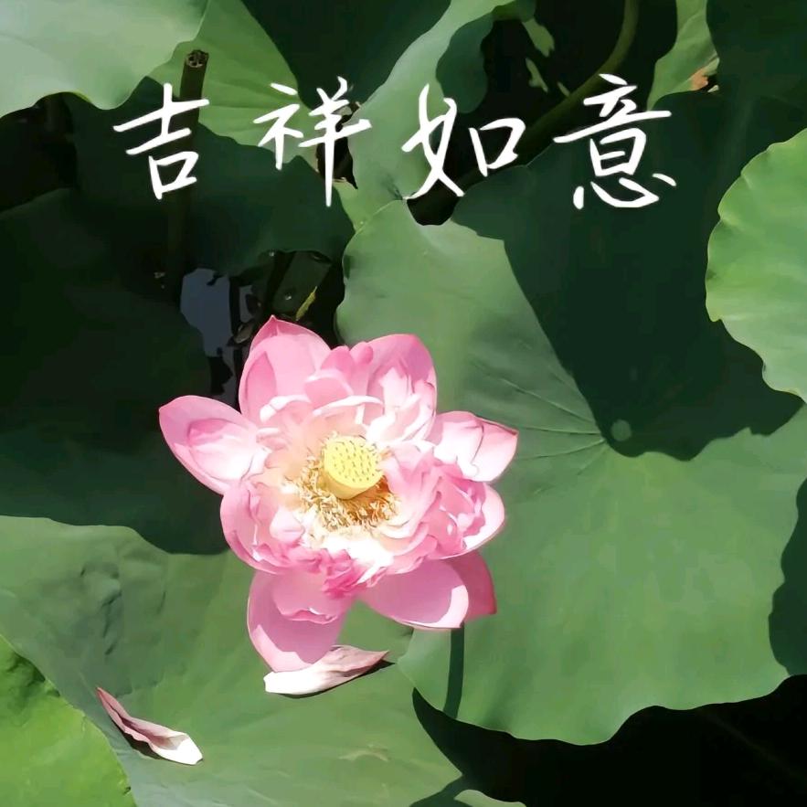 周姐(晚上21:10开播)