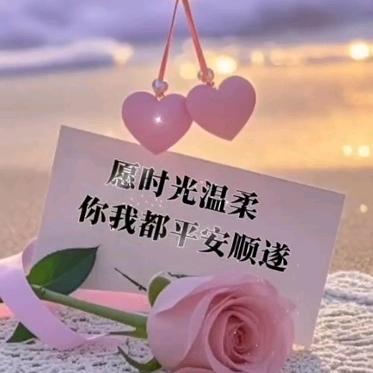 宠你