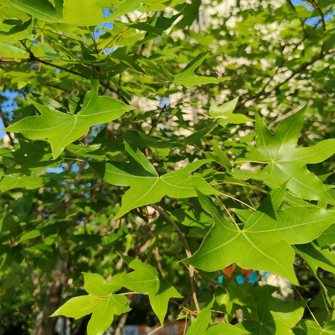 洋溢幸福