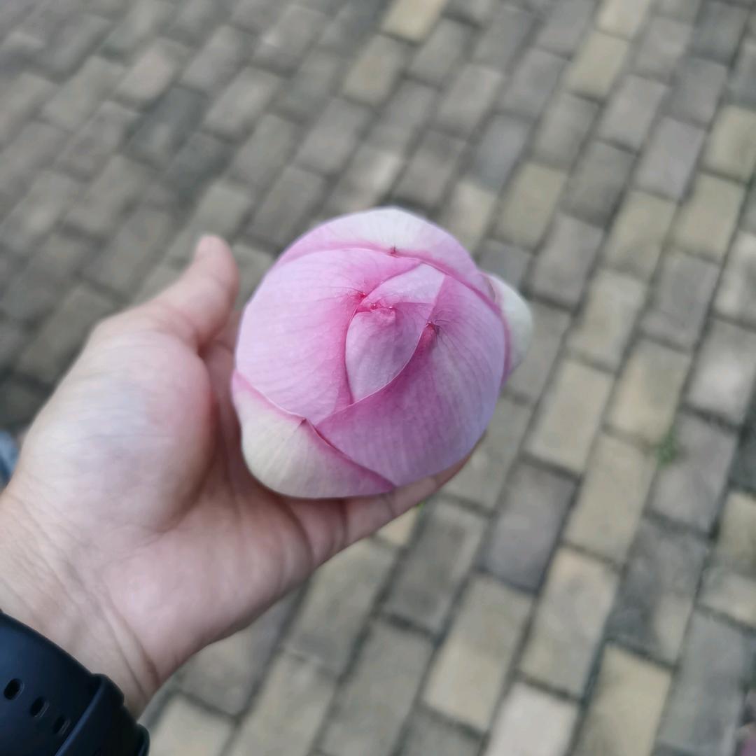 夫人！汉卿