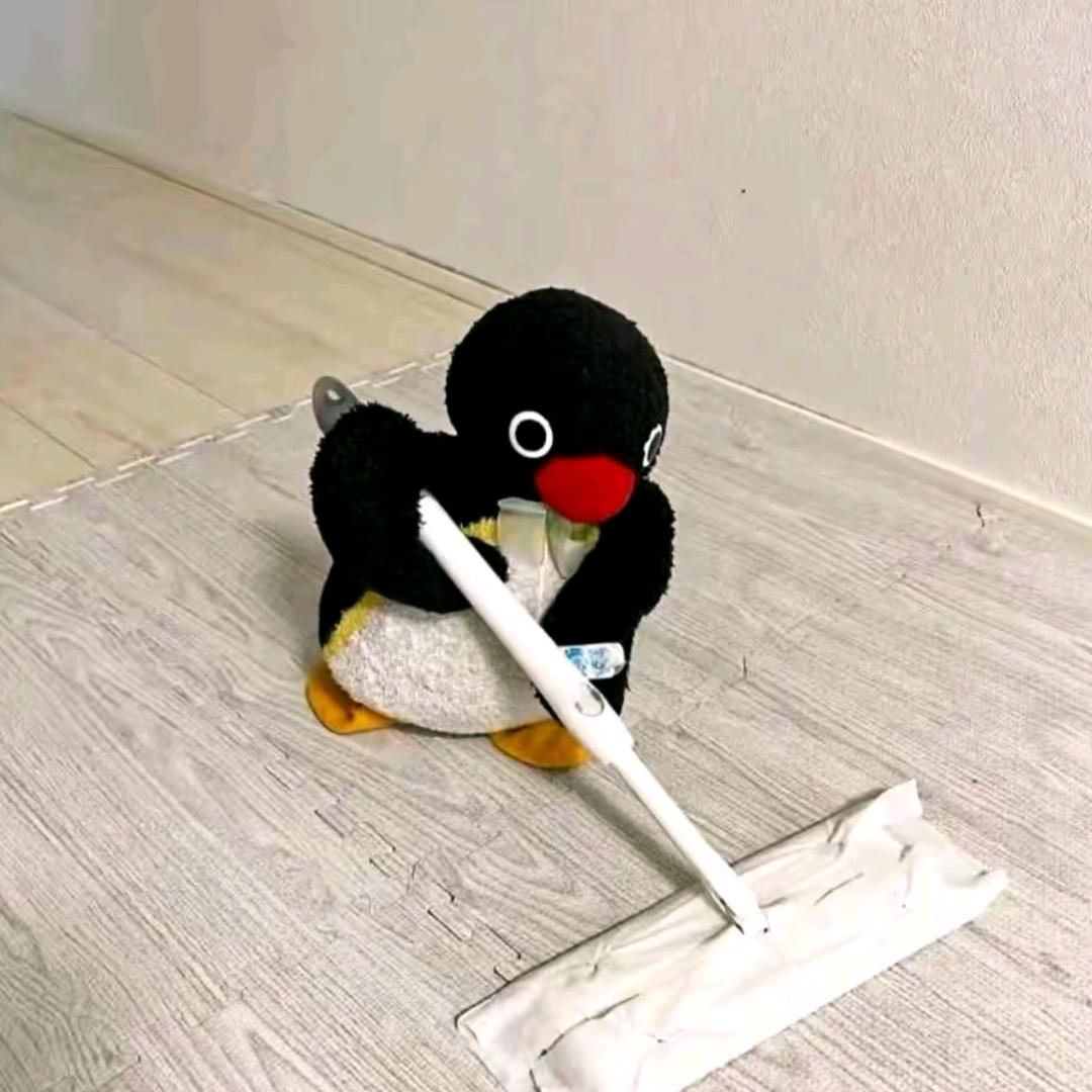 𝑭𝒓𝒆𝒆𝒅𝒐𝒎⚡