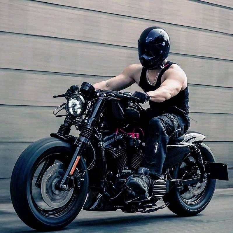 Dredd.china