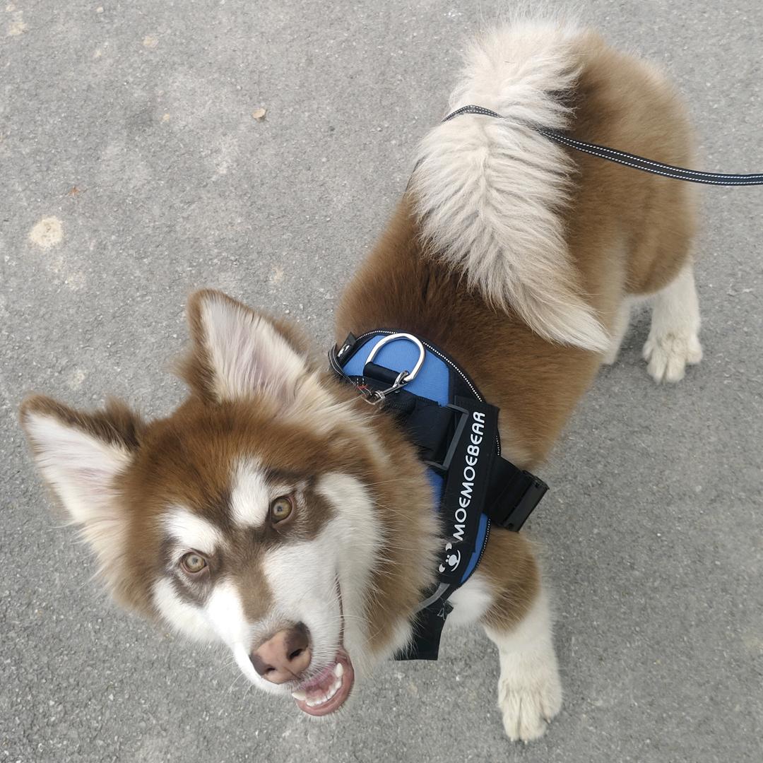 އ사랑이 반으로 감해지는 그날까지އ