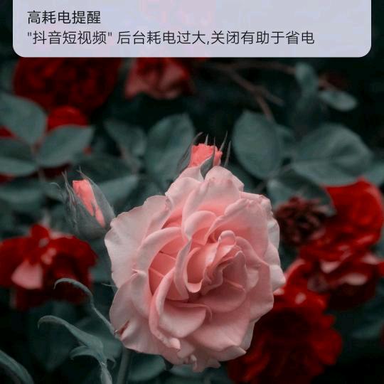 用户