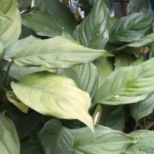 风雨同路见真心，