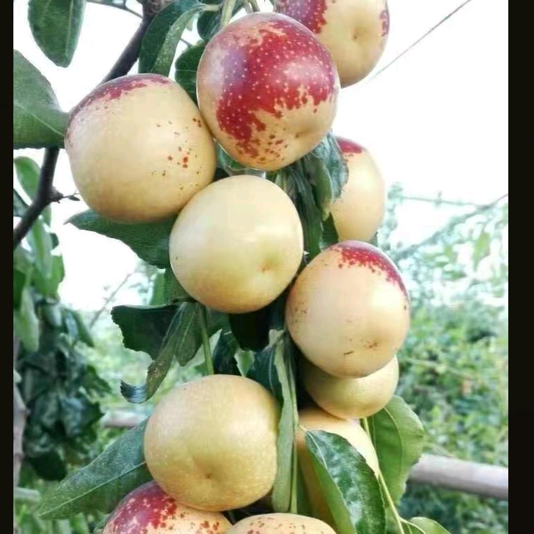 宁静致远