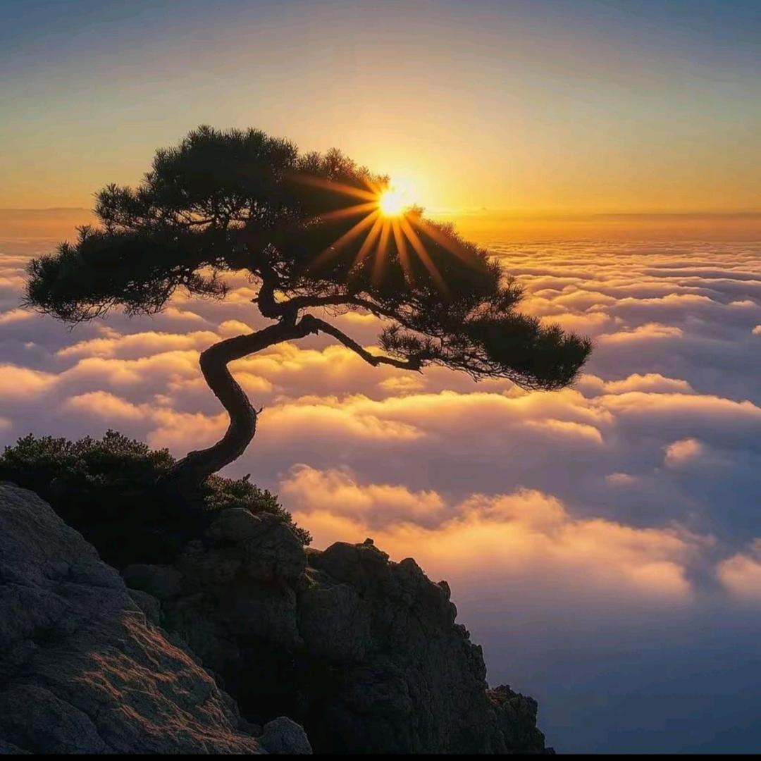 守望阳光