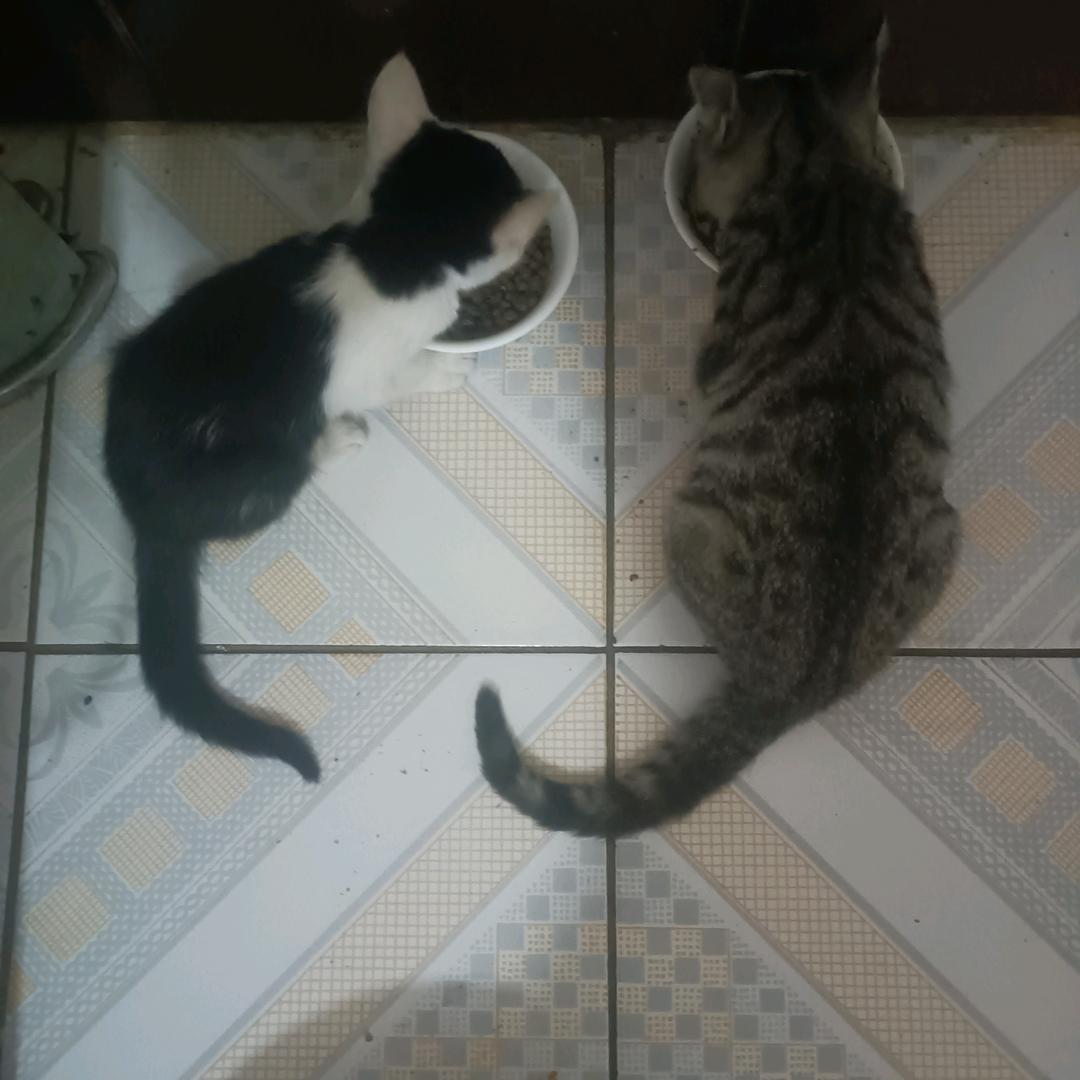 净水机租赁 出售 以旧换新