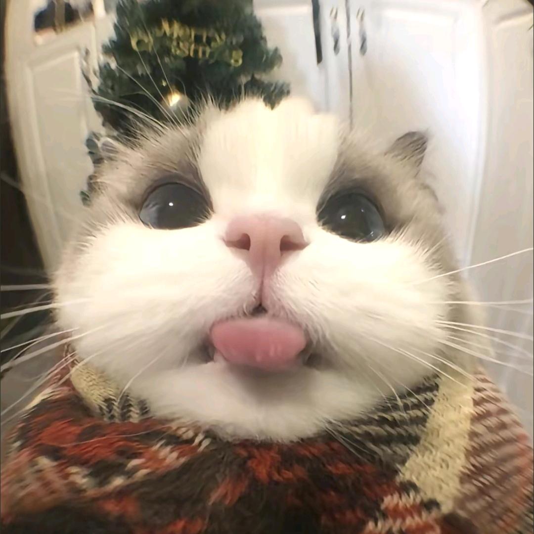 起个名