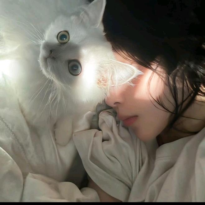 ɴɪᴄᴇ锦鲤少女ᰔᩚˎˊ