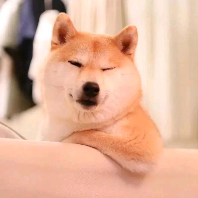 榆次全屋定制理想家