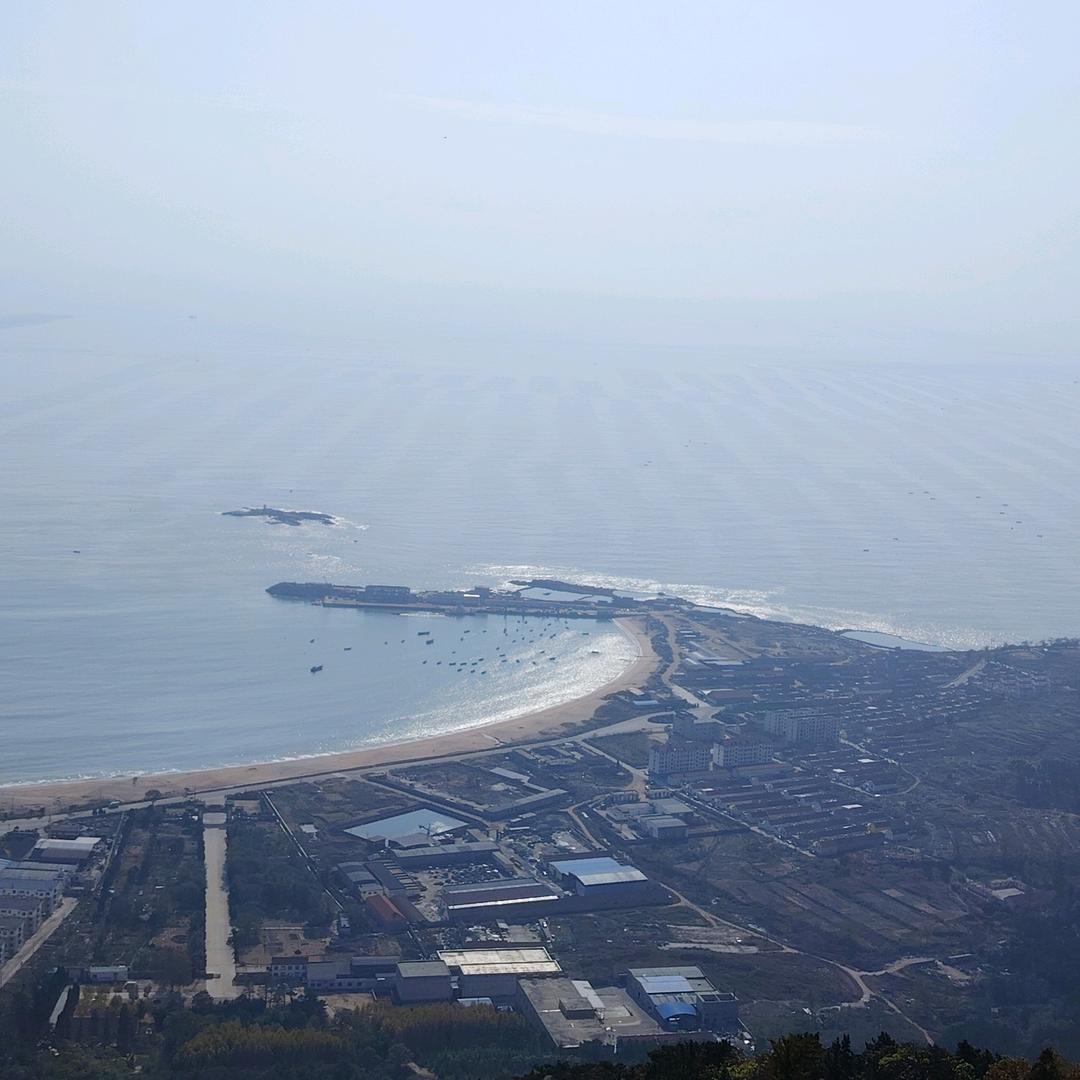 大海豚