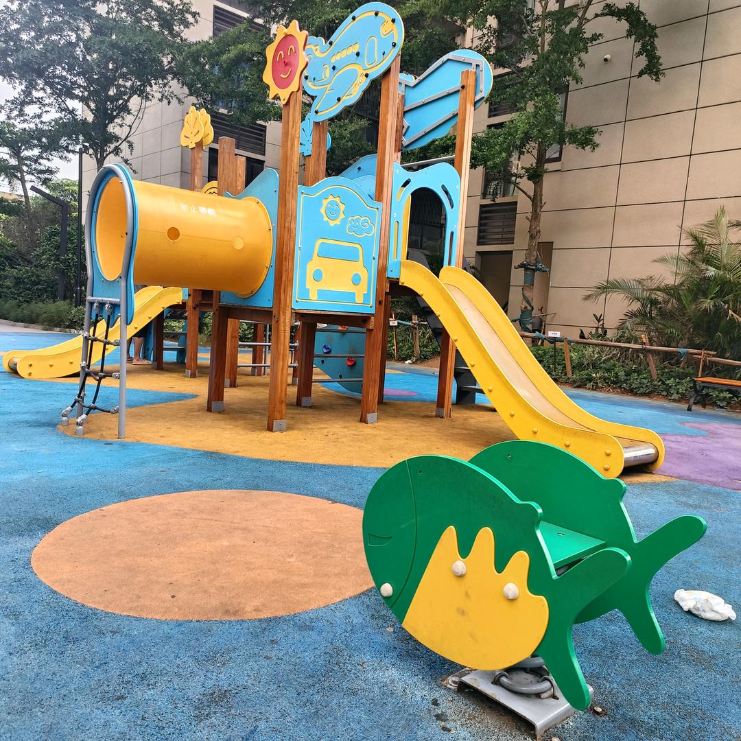 飞飞
