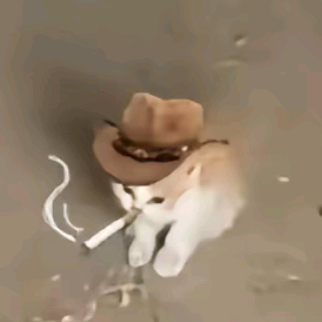 Rain丶