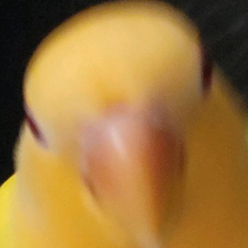 一顆芒果