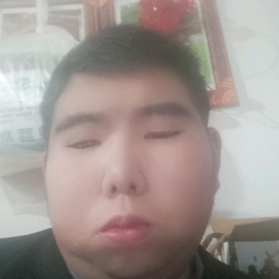 山东高密海哥大号7798