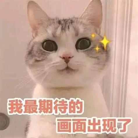 分享就是快乐