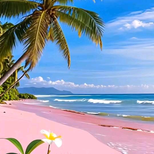 👉感悟人生👈