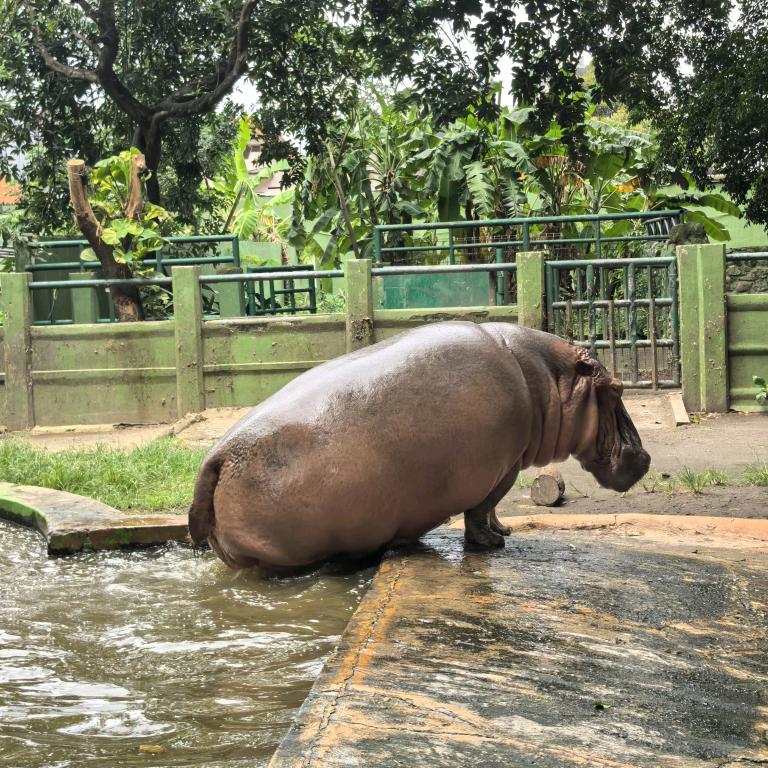 小崔这名字有点长也是湖南蕞茩的纯爱战士