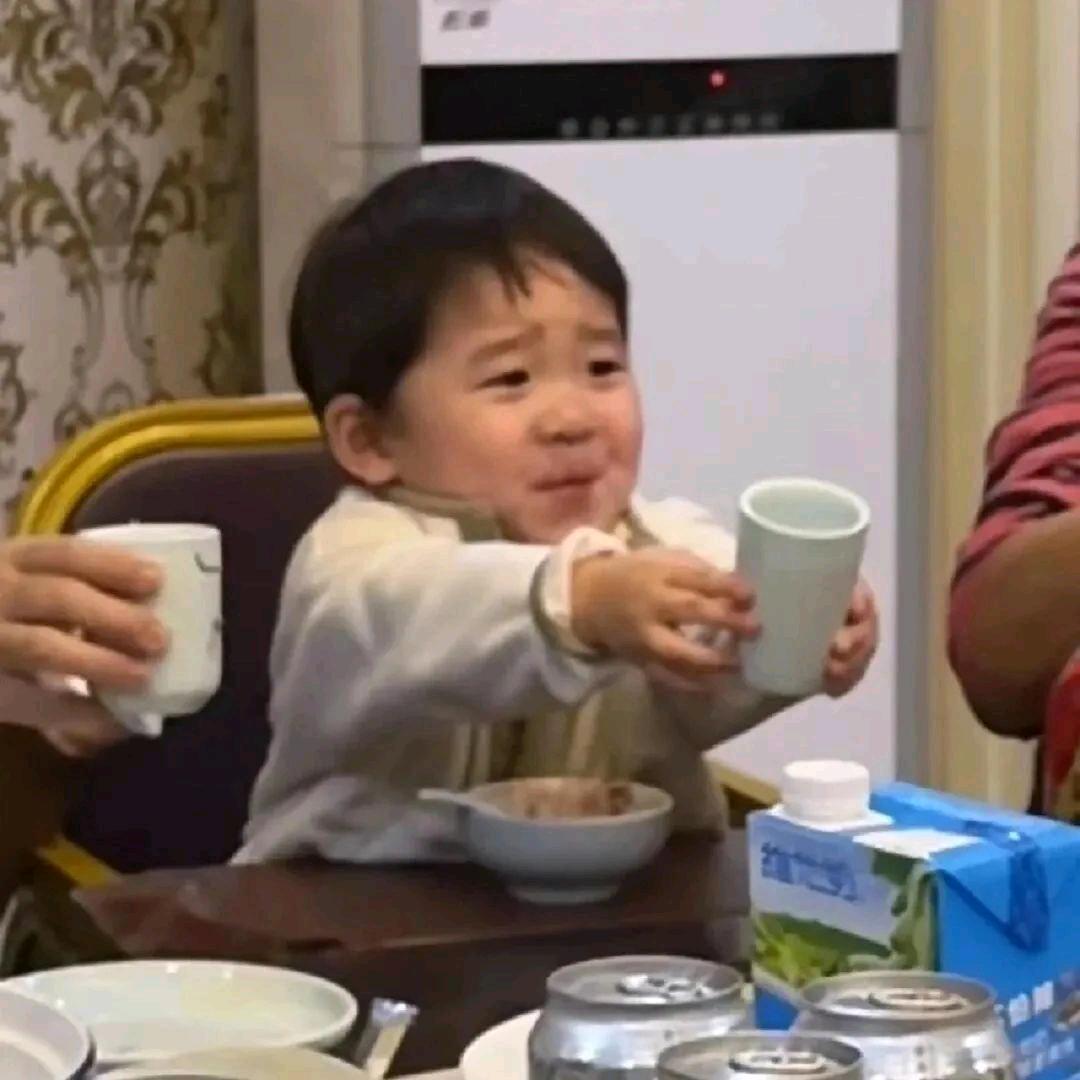 黑背信天翁