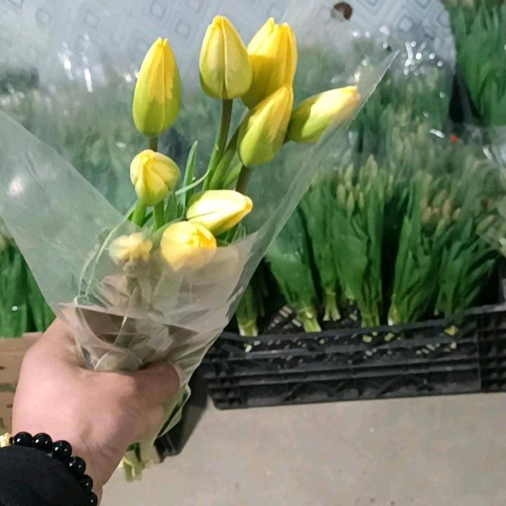 刘先生鲜花批发
