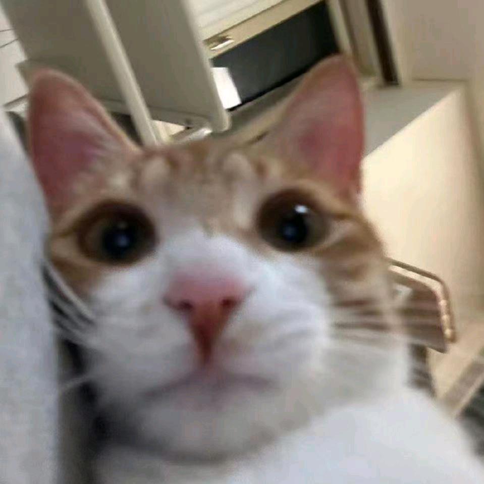 乾齋