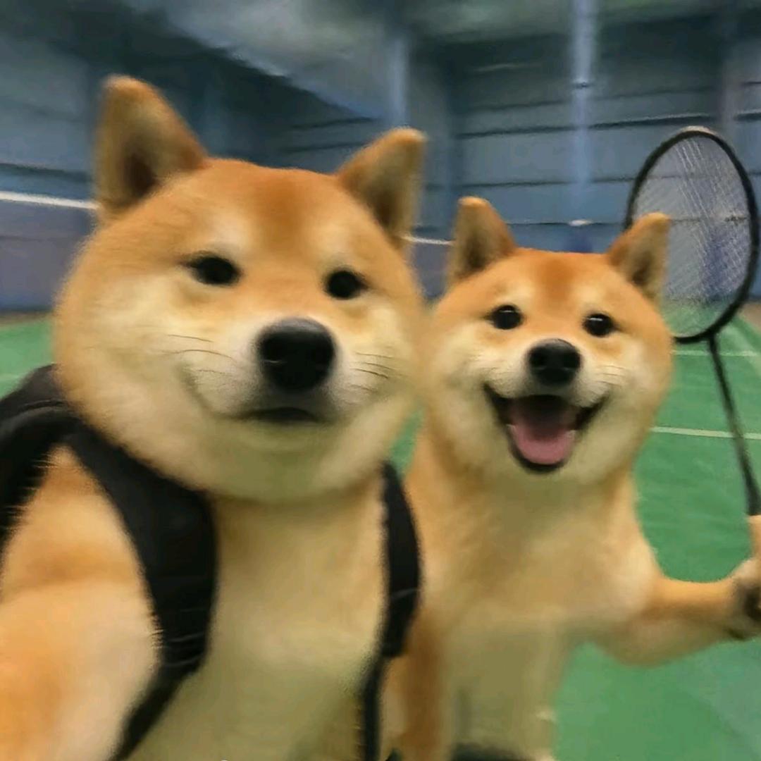 咖啡猫